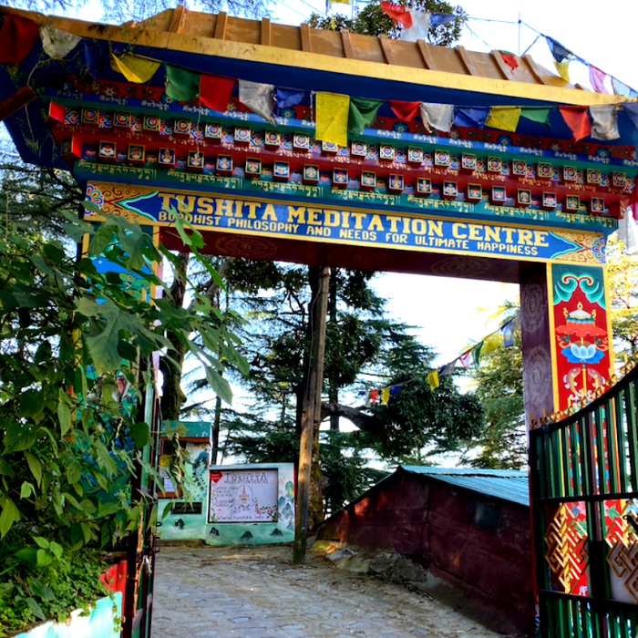 india yoga retreat